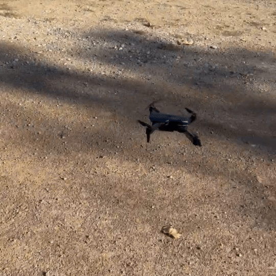 Drone 4K DUAL CAM